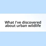 What I’ve discovered about urban wildlife