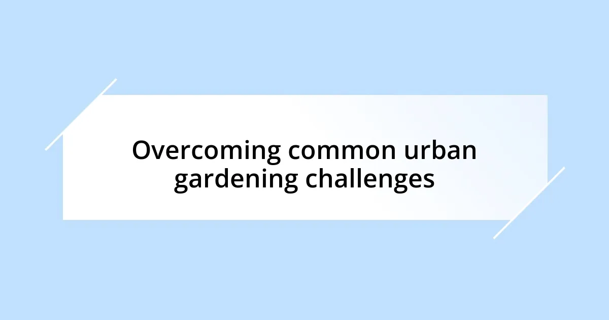 Overcoming common urban gardening challenges